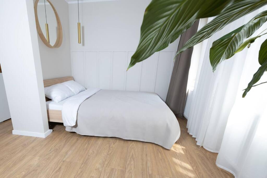 Design & Relax #Altstadt #Sauna Wittenberg Esterno foto